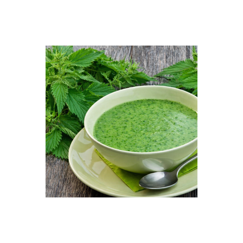 Soupe aux Orties Sauvages