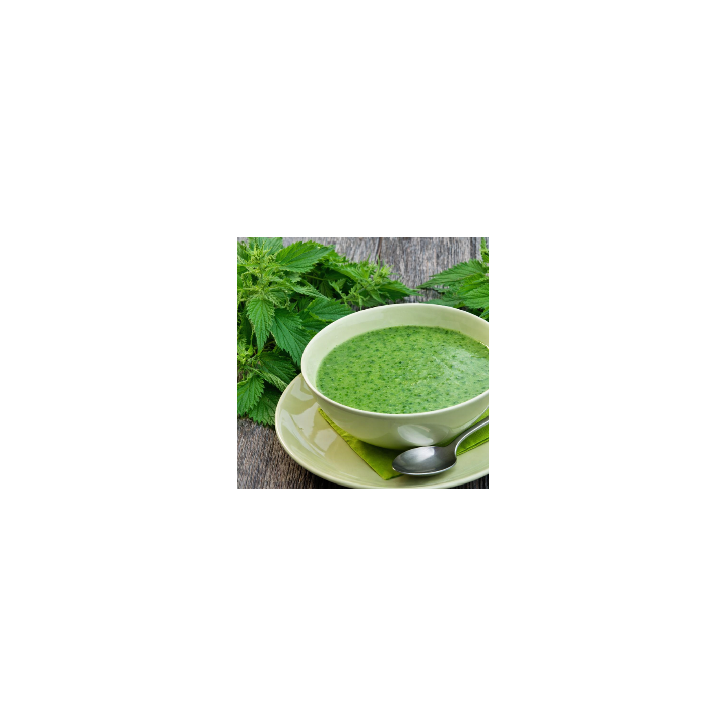 Soupe aux Orties Sauvages